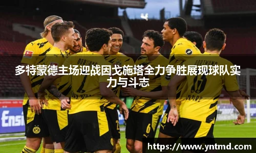 多特蒙德主场迎战因戈施塔全力争胜展现球队实力与斗志